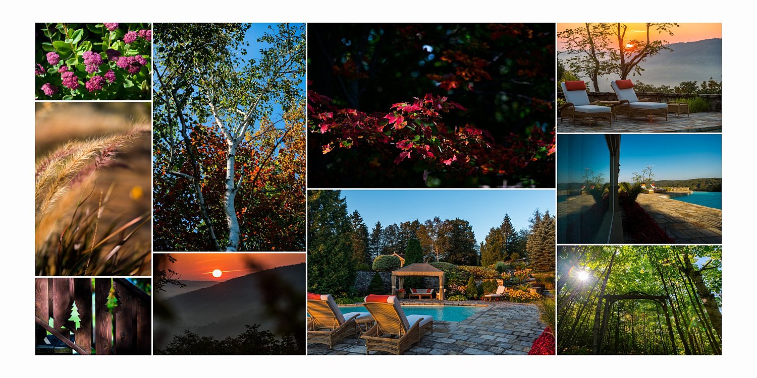 Jardin et piscine au coucher du soleil - photographie immobilière de prestige