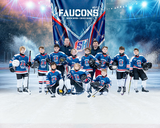 Photo d'équipe hockey Faucons M11